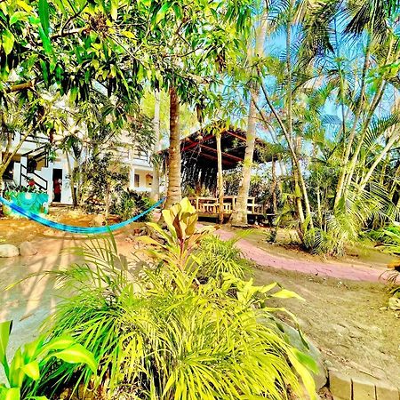 Hotel El Eden Escondido Puerto Escondido  Exteriér fotografie